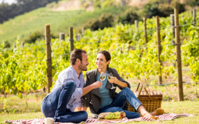 Que faire à Épernay ? Le guide complet pour votre séjour en Champagne